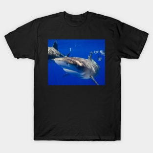 Close Encounter With An Oceanic White Tip Shark T-Shirt